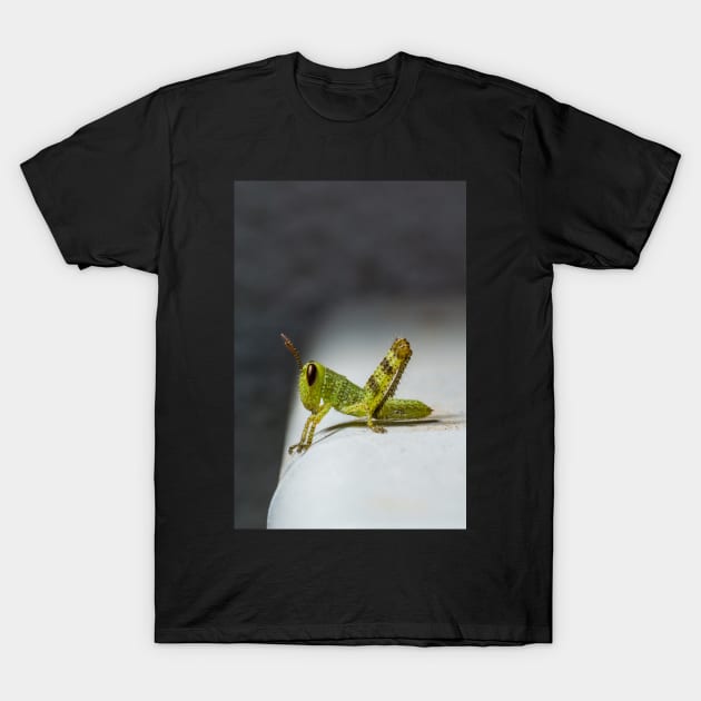 Hopper T-Shirt by Proph